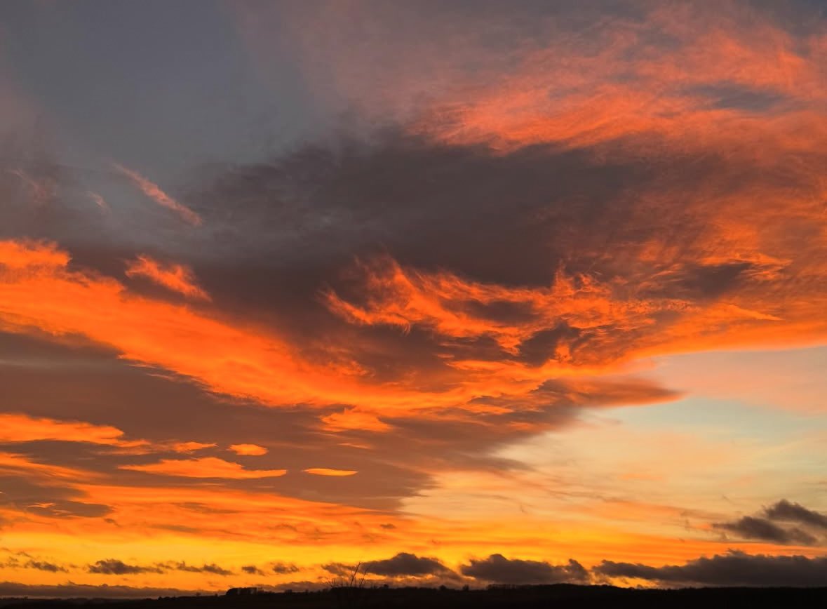 ClarksonsFarm tweet media