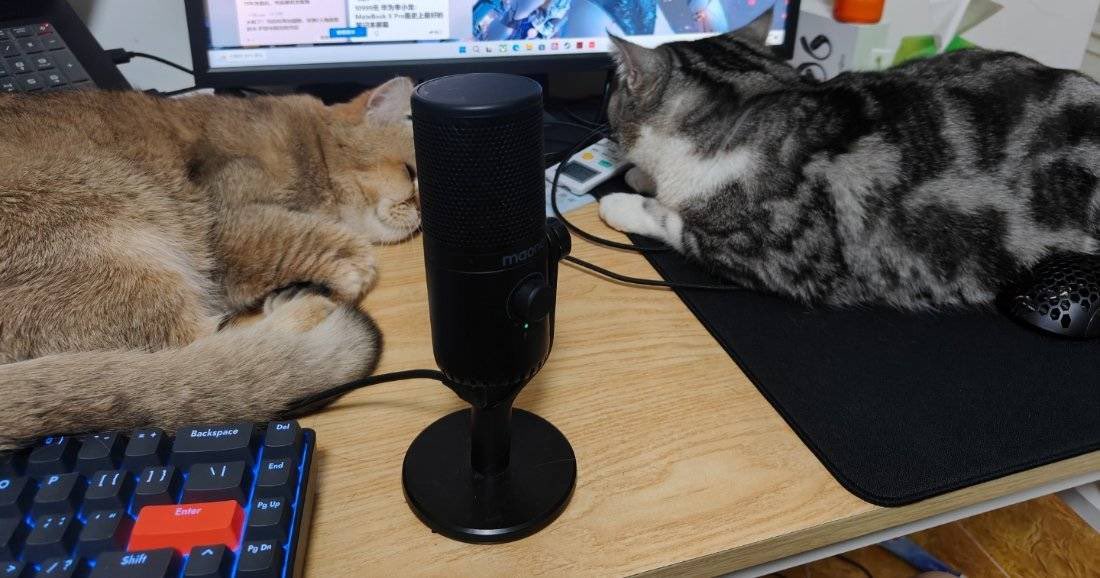sthreCorD's tweet photo. #somethingrecord
something reCorD 🐈
2024/12/11
D：毎日起きたら体に猫の爪痕が付いてる。あの子たちパルクールしていたから。顔を避けたのはありがたいけど。
D: I found cat scratches on me everyday, because they do parkour every night. Thankfully they didn’t touch my face. https://t.co/ix2OAihJrZ