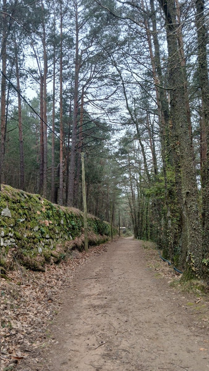 Comença una nova etapa 

unpobrebomber.blogspot.com/2024/12/i-fins…