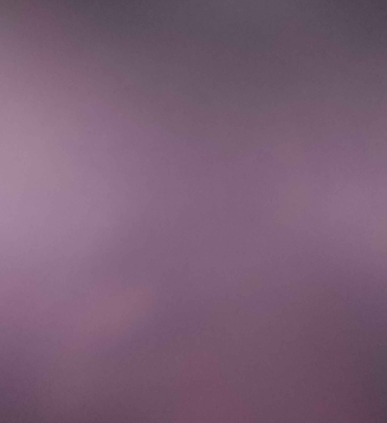 Build_rust's tweet image. ほんほんほんほんほんほん