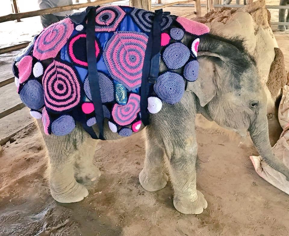 During a cold spell in Myanmar's Winga Baw Elephant camp, the youngest elephants get a cosy crocheted coat created by local women #WomensArt #Monday