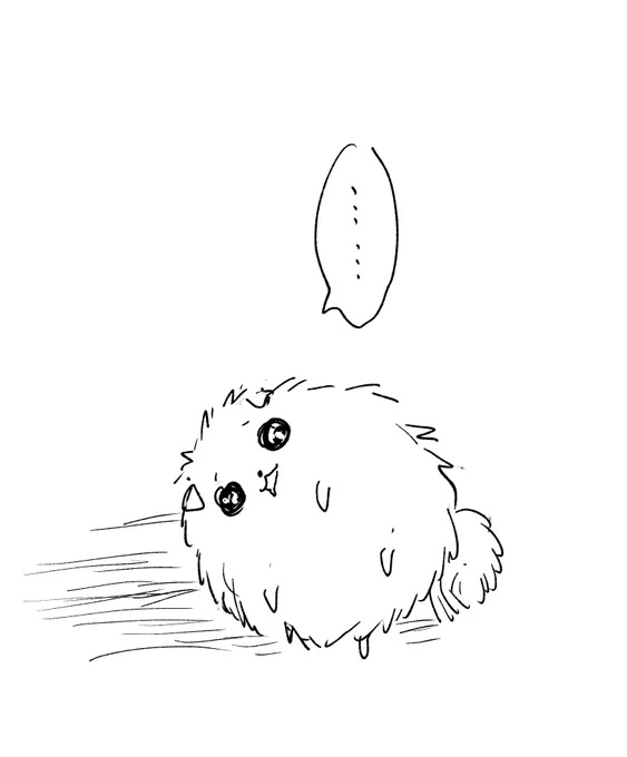 一点を見つめて動かなくなった
ドカ食い気絶部寸前のチビポメラニアン🐶 
