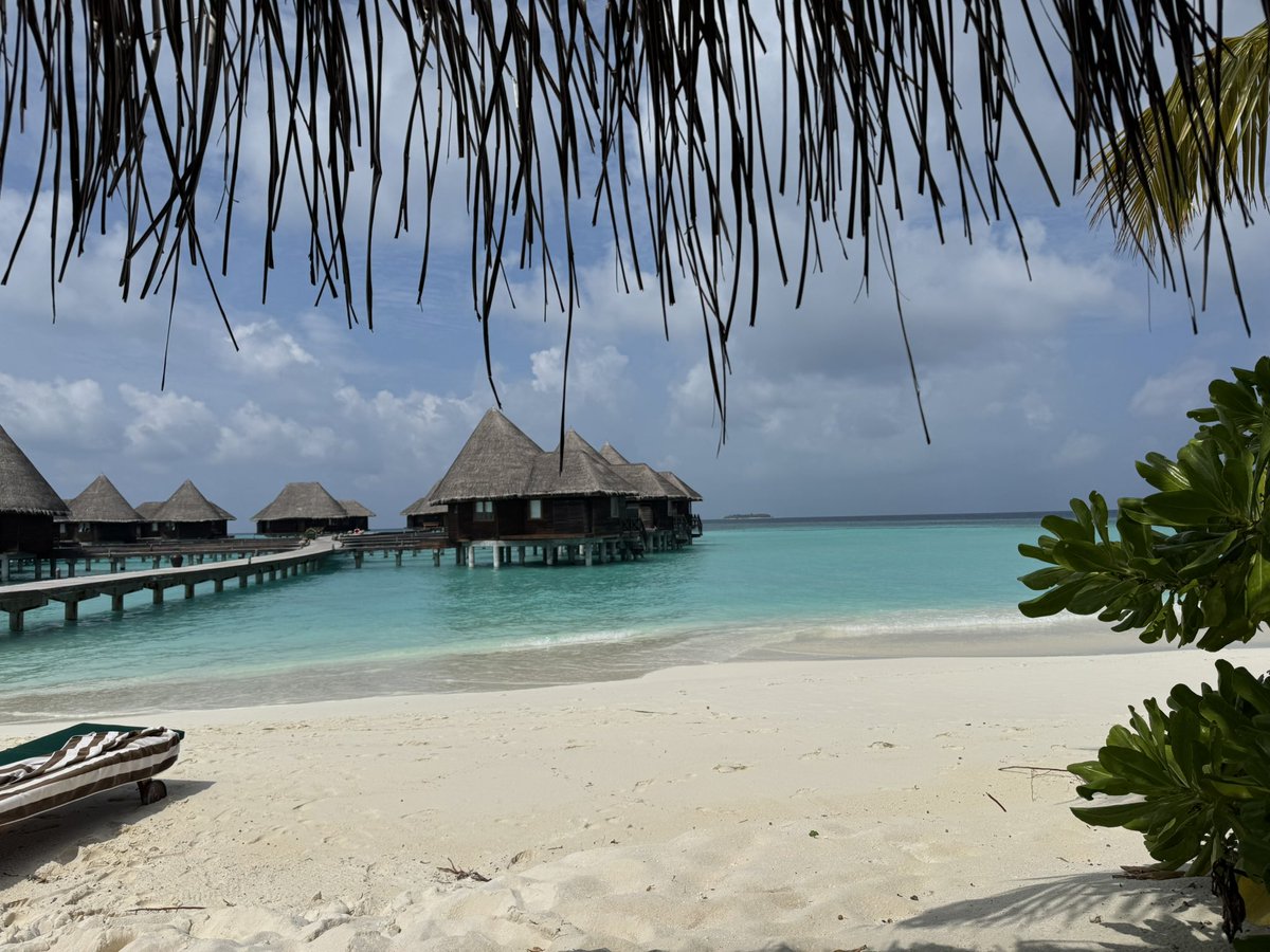 Dawn Brown tweet media