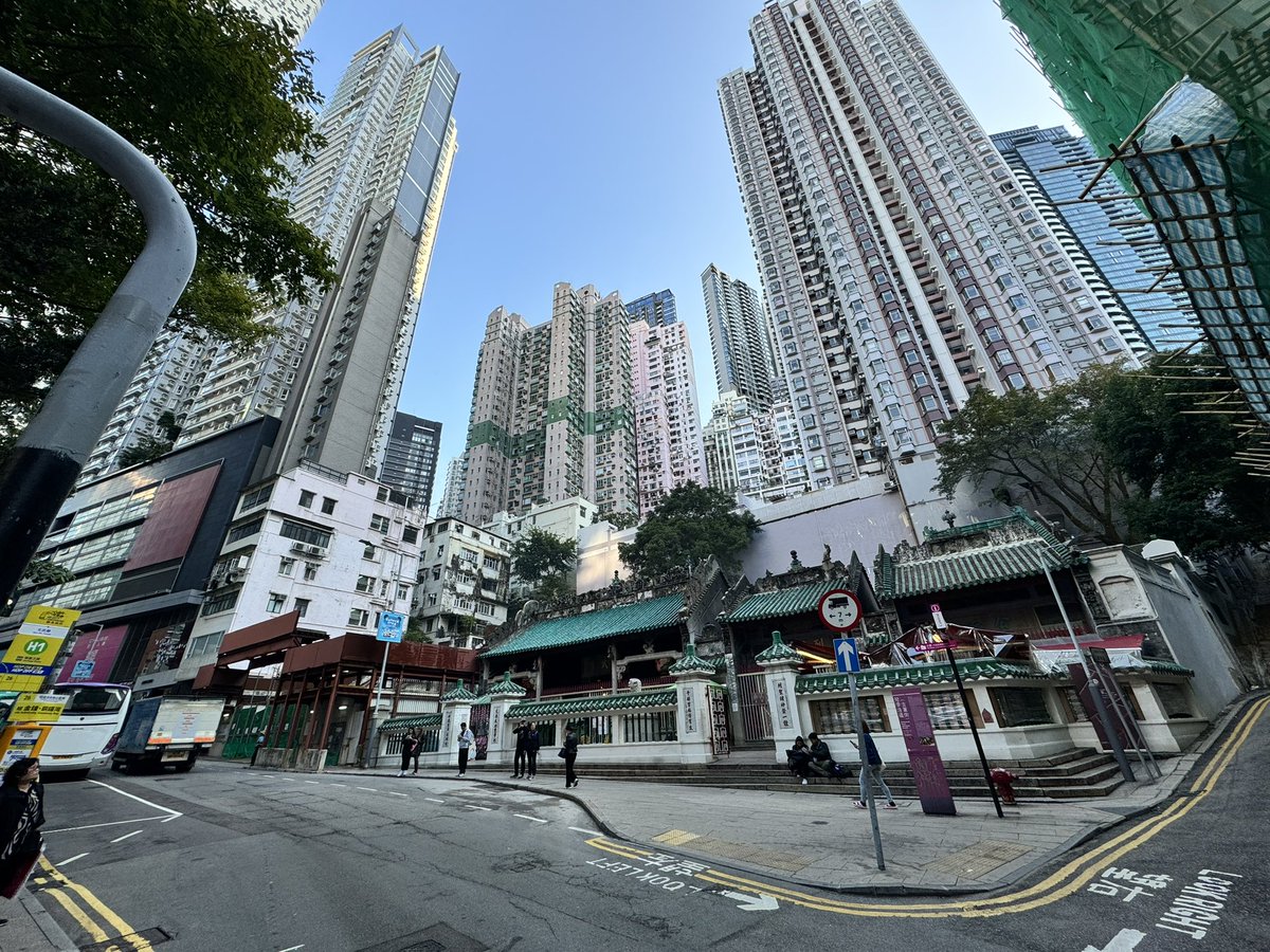 海苔猫█ tweet media