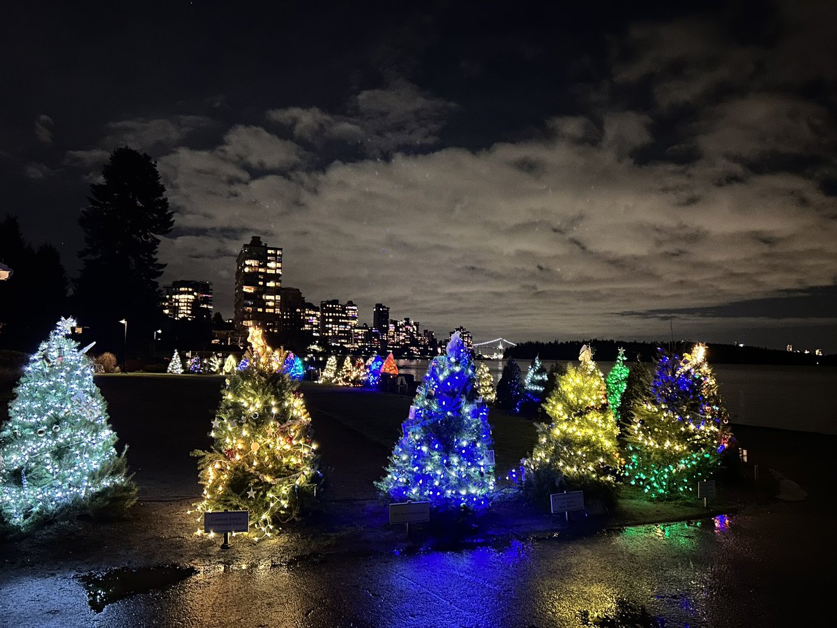 To save them from the wind-driven (almost) king tide yesterday, we moved close to 40 trees in the Forest of Miracles to higher ground.  Before dusk today, each tree was back in place and radiant. “Once in a century storms” are happening every season. #wetsvan <a href="/BrentRichter/">Brent Richter</a>