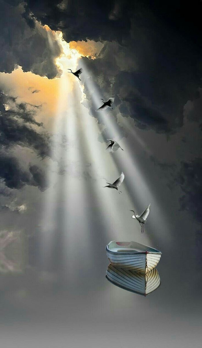 Uçabildiğini kimseye söyleme. 

Öyle bir inanmazlar ki, düşersin….