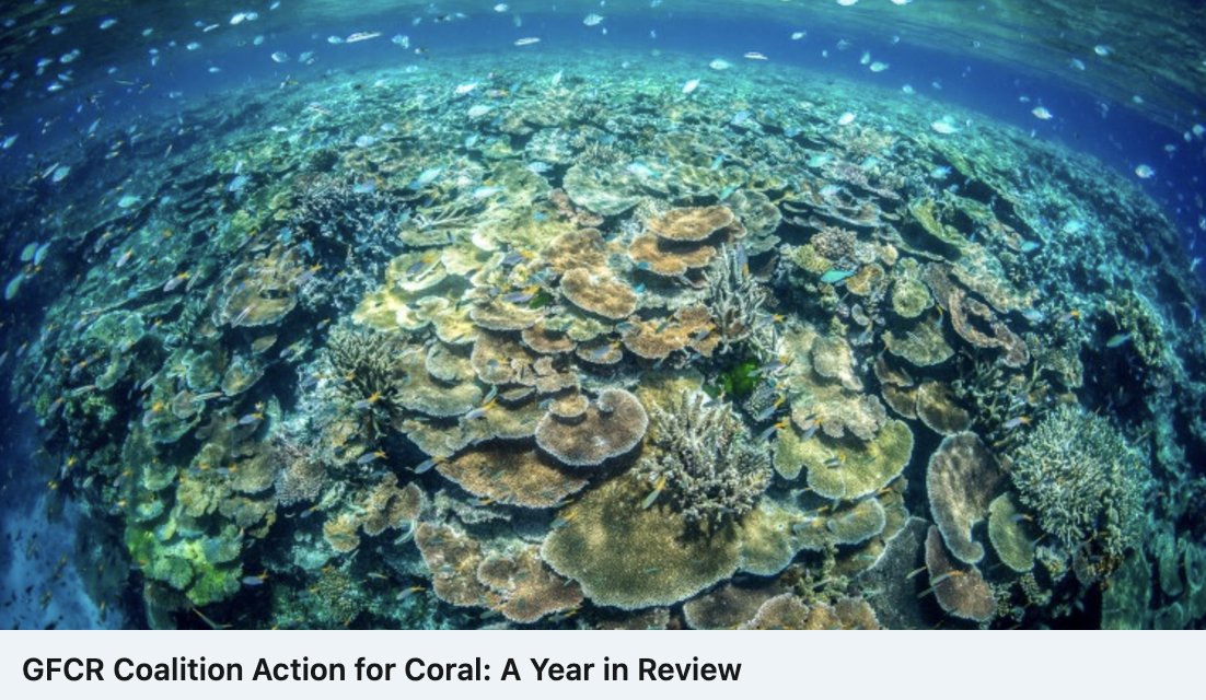 🪸  A Milestone Year for #CoralReefs

2024 was a transformative year marked by significant strides in safeguarding coral ecosystems and enhancing coastal livelihoods. Through $100M in leveraged public and private investments, collective achievements included:

✅ Debt-for-Nature