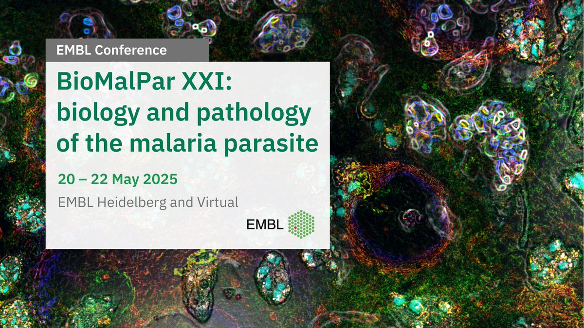 🦟 #Malaria remains a major global health challenge, with rising deaths and drug resistance adding urgency to the fight.

🌍🤝 Join us for the 21st edition of #EMBLMalaria as we strengthen partnerships, share insights, and drive innovations to combat malaria's toll and advance