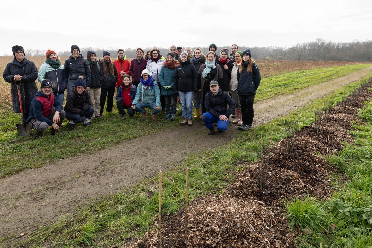 Belle matinée de plantation participative à Saint-Aignan-de-Grandlieu
🌳 Dans le cadre de la mise en œuvre de la Charte Métropolitaine des Arbres, <a href="/NantesMetropole/">Nantes Métropole</a> organise des chantiers avec l'asso Repousse.
🙏 aux bénévoles, aux habitants et aux agents
Go pour planter 5km /an