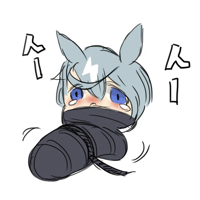実家でのイナズマの状況です 