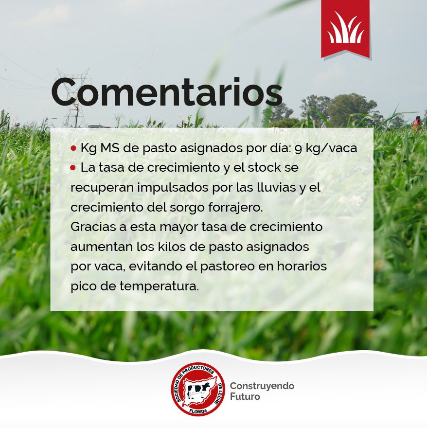 _splf's tweet photo. Info #planverde
Gestión del pasto 🌱
🗓️ 30/11 al 13/12
#splf #servicios #planverde #propasto https://t.co/T4gIphPlmm