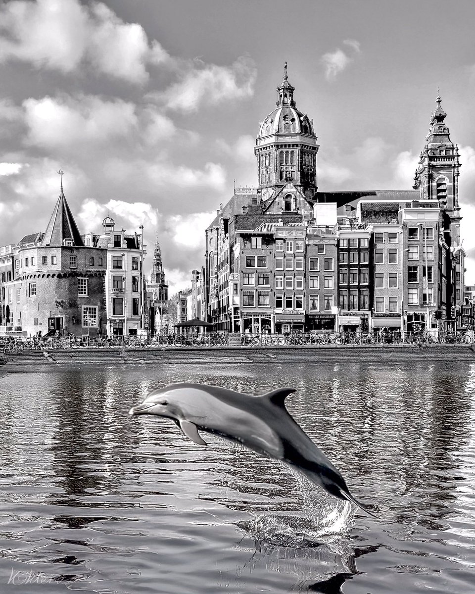 opatango's tweet photo. Amsterdam anno 2034 #blackandwhite #dolphin #amsterdam #skyline #future #highwater #exoot #aiassisited #ai december https://t.co/PPZpr04yyI