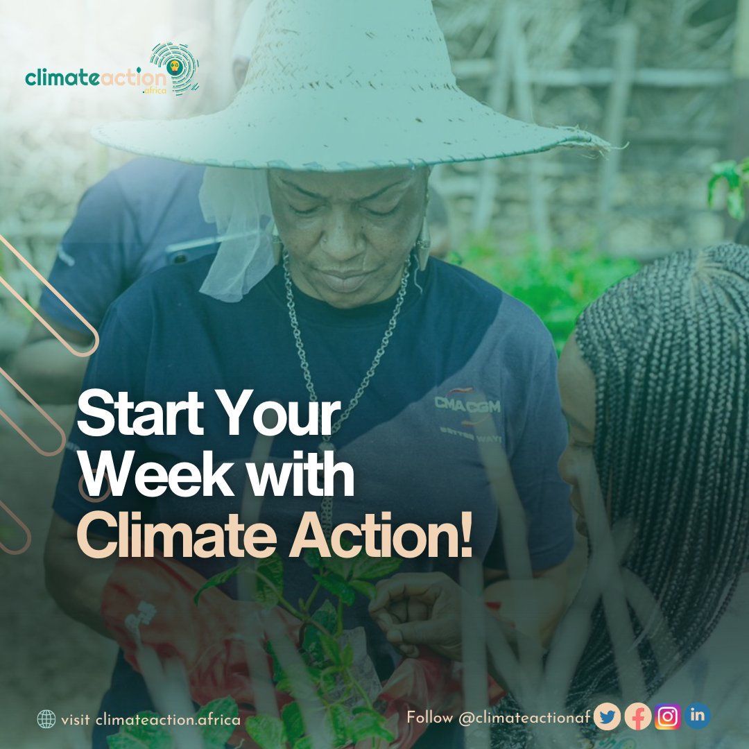 climateactionaf's tweet photo. This new week, take a step towards a greener future.
Plant a tree, recycle, or advocate for clean energy solutions.
Your action matters!

Have a productive and green week ahead!
Follow us for more updates @climateactionaf 

#MotivationMonday #1BillionTrees #ClimateAction https://t.co/Yt0hmXRAVX