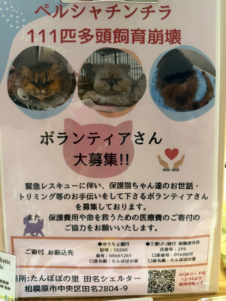 shoko55mmts's tweet image. ✨拡散希望✨

緊急、こちらのAmazon欲しいものリストから、キャットフード等たんぽぽに支援していただけると助かります！わたしも支援しました。

amazon.co.jp/hz/wishlist/ls…

たんぽぽの里で111匹ペルシャチンチラ猫多頭崩壊で里親、ボランティア募集！
です、みなさまのお力を貸してください。