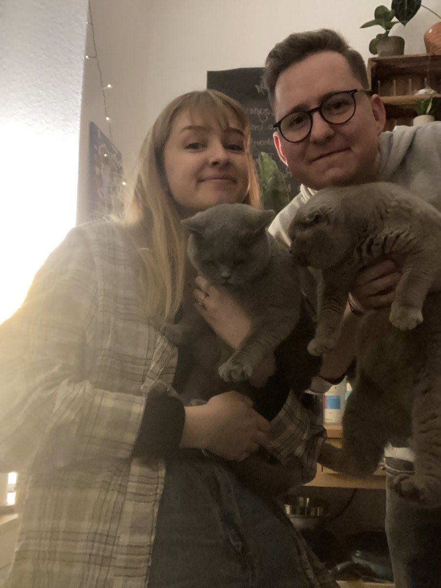 fobpfer's tweet photo. heute seit 4 jahren katzeneltern🥹🥹🥹 https://t.co/qcT4KGMfqS