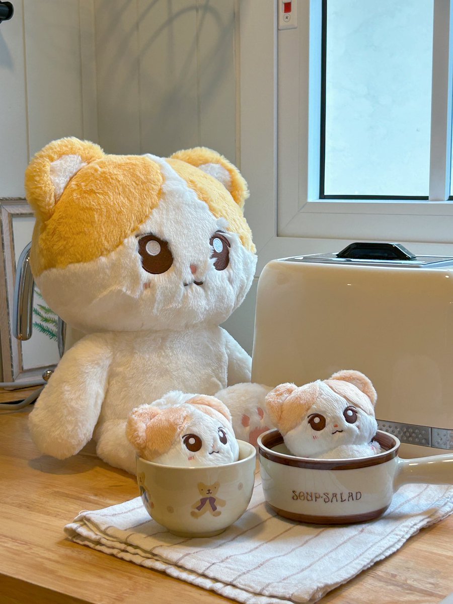 15_heester's tweet photo. pls rt 💓
—— ⋆🐾° Interest check Heester 40cm doll ⋆🐾° ——
👩🏻💻 From : https://t.co/cSi12MDawW 🐹
#heester
#ENHYPEN_HEESEUNG #ENHYPEN #엔하이픈 #희승 #ตลาดนัดENHYPEN #HEESEUNG #ヒスン https://t.co/NCdeH707yP