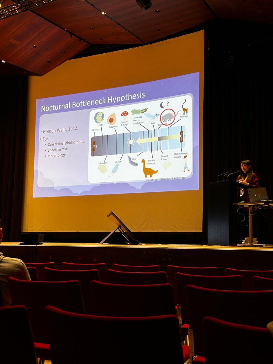 PaleoBeologist's tweet photo. Back home from #PalAss24! Thank you so much to @ThePalAss for recognizing my work with a talk prize! I had the best time talking about all things melanin &amp; fossils with so many diverse researchers and catching up with new and old friends while exploring the Erlangen Xmas markets! https://t.co/TPpvWPDJYb