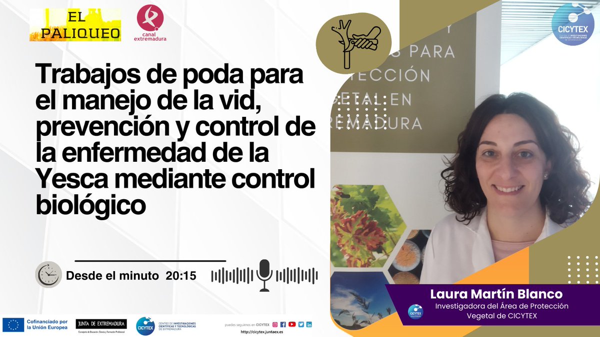 En nuestra colaboración semanal con 📻El Paliqueo de <a href="/cextremadura/">Canal Extremadura</a> , nuestra investigadora Laura Martín nos habló de👇
✂️Trabajos de poda para el manejo de la vid🍇, prevención y control de enfermedades mediante control biológico 🧫
⏯️Óyela aquí canalextremadura.es/a-la-carta/el-…
