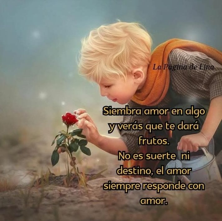 Claritzarp1902's tweet photo. @Claritzarp1902 #SembrandoAmor https://t.co/Gu9Ch3XyI3