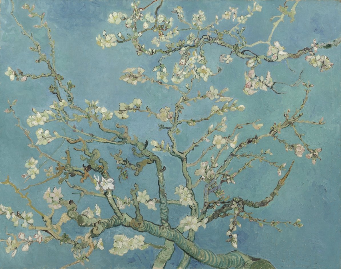 X_ArtGallery's tweet photo. Vincent van Gogh - Almond Blossom https://t.co/ehVNZ7mqF3