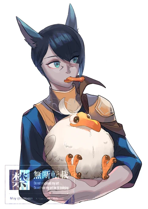 フレミコッテくんFA 