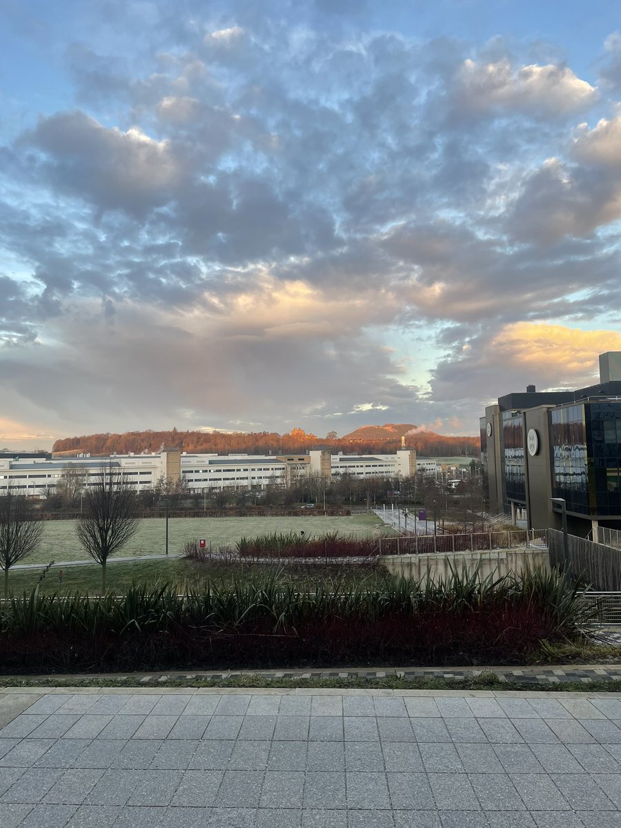 Liam Phelan tweet media