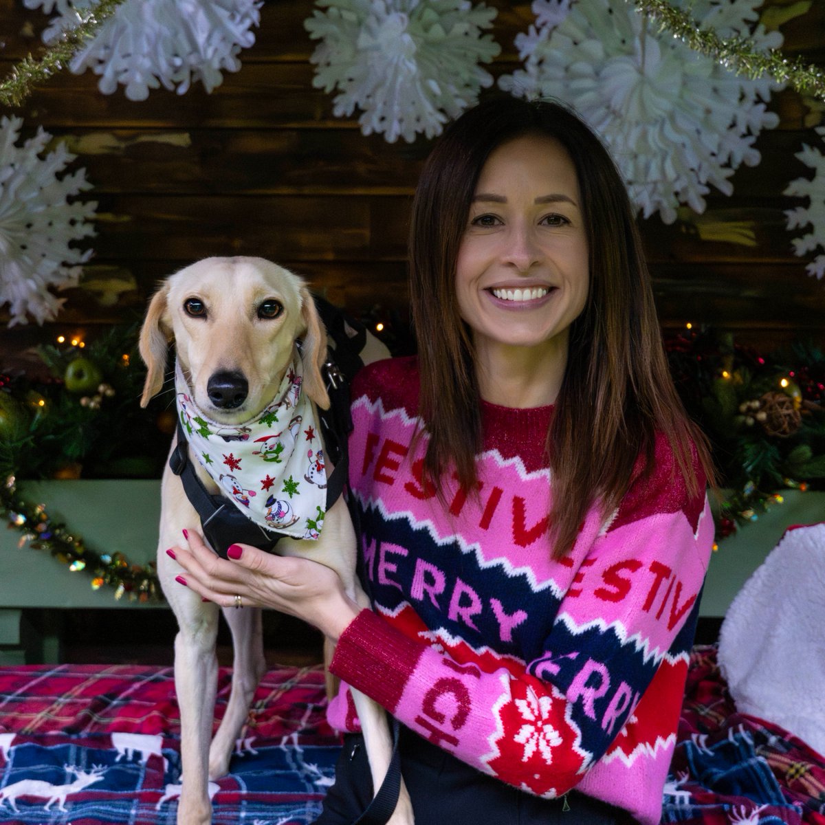 Woodgreen Pets Charity tweet media