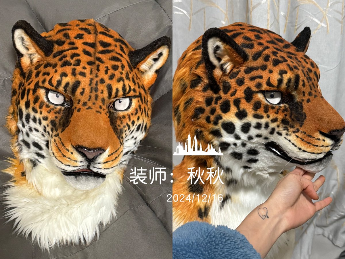 SHAN_JUN_'s tweet photo. Hello everyone, this is an adoption message, ✂️produced by : @Qiuqiu1290. The adoption price  is $2000, not including handling fees and international shipping. The size (vertical height from chin to top of head) is 26cm, and head circumference is 60cm.
#fursuitforadopt #Fursuit https://t.co/mbmdkZ2Qto