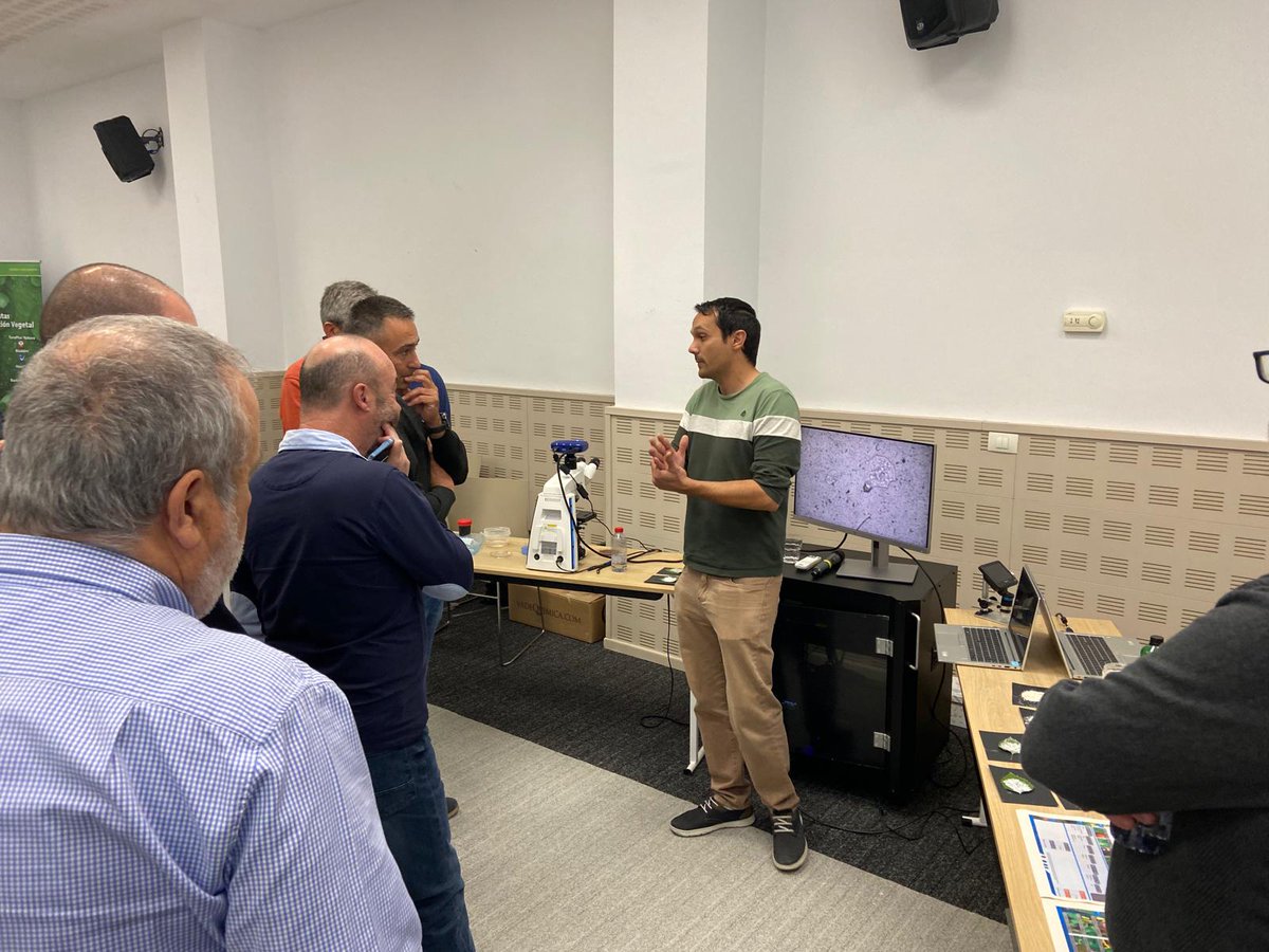 COMPO EXPERT Spain tweet media