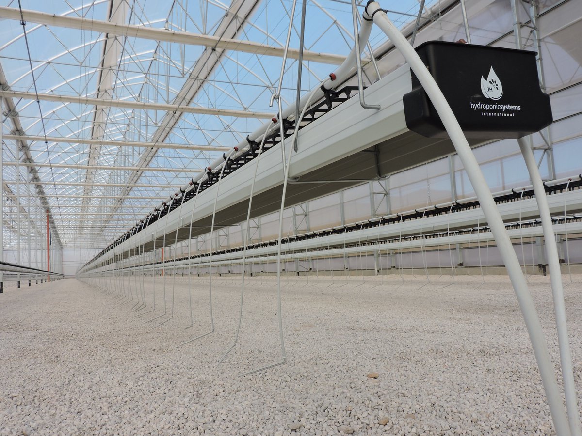 Hydroponic Systems tweet media