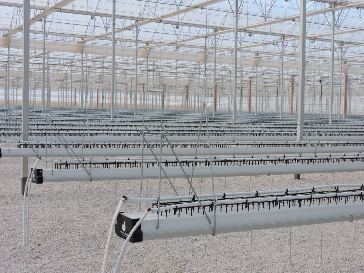 Hydroponic Systems tweet media
