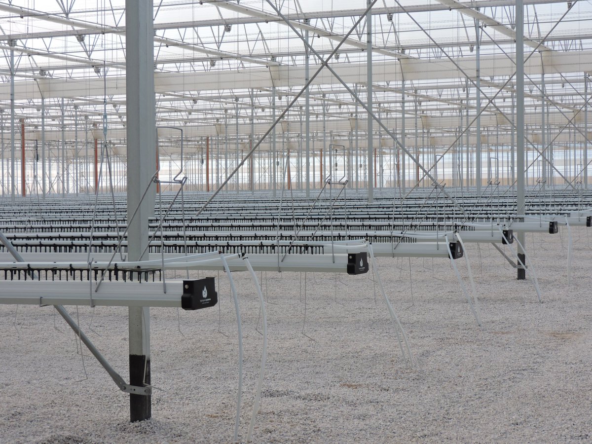 Hydroponic Systems tweet media