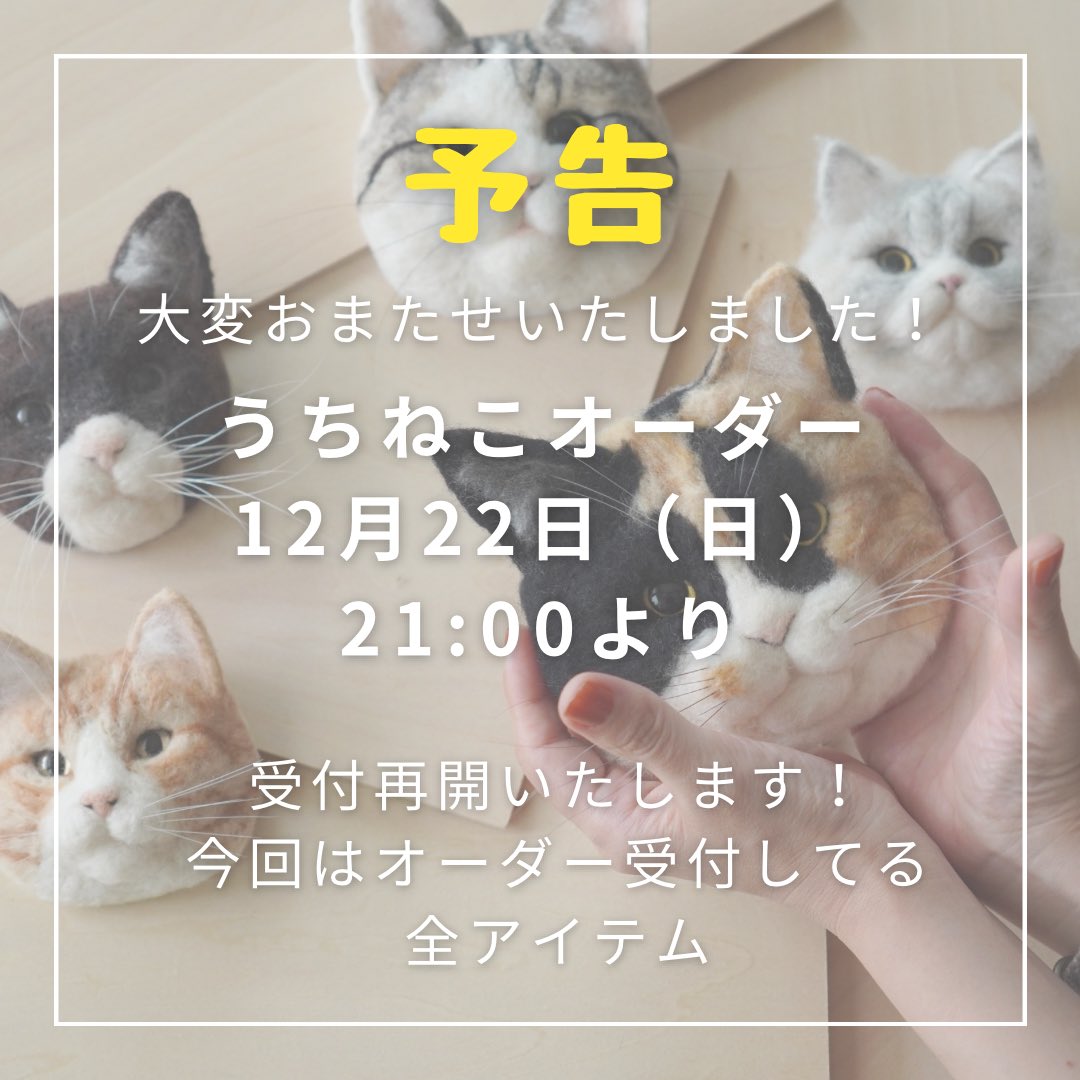 kushu+ (@kushuplus) / X 