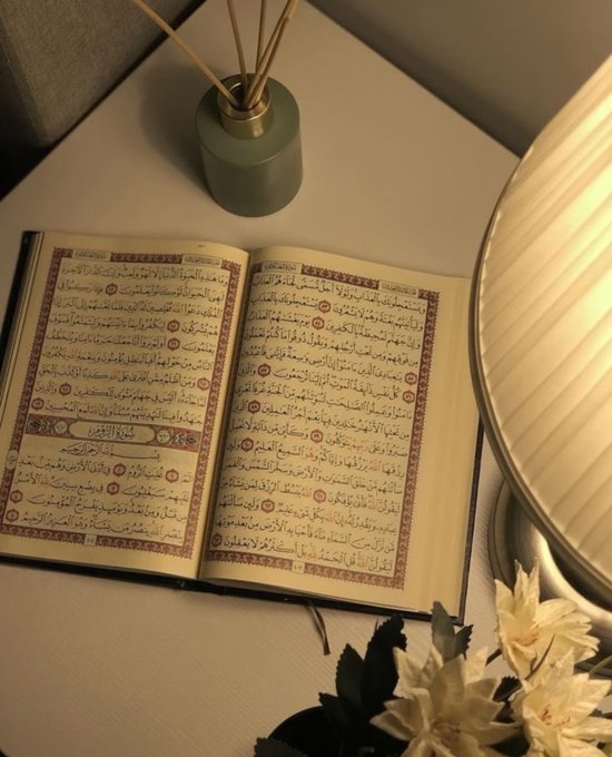 "İşimi, niyetimi, yolumu, yarınımı hâyırlı kıl Allah’ım."

▪️(Amin)