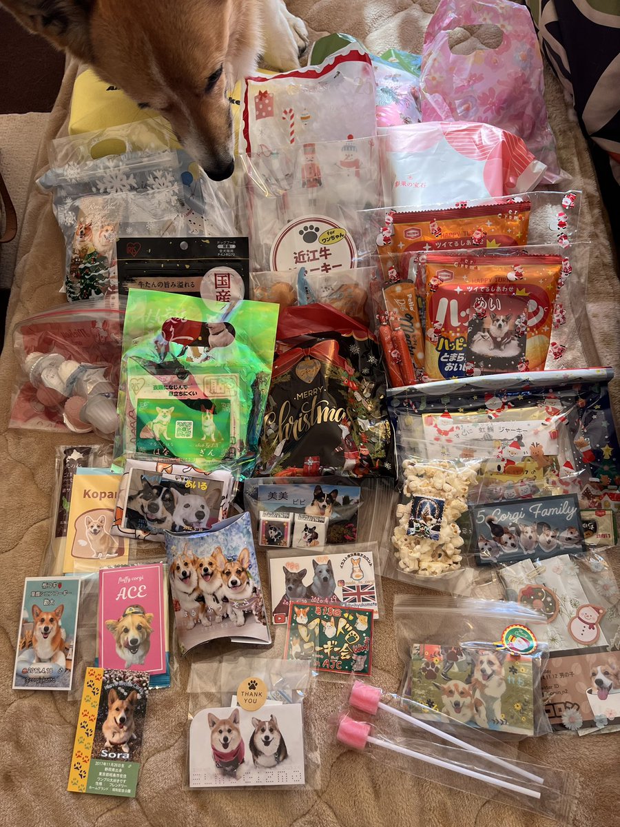 sakumomohana's tweet image. #AJC で購入したものーと頂いたものー