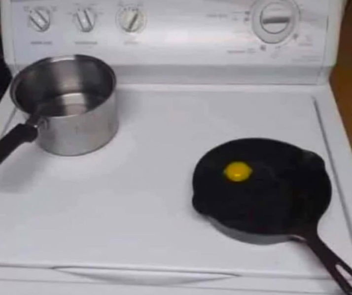 Bryson 🦄 tweet media