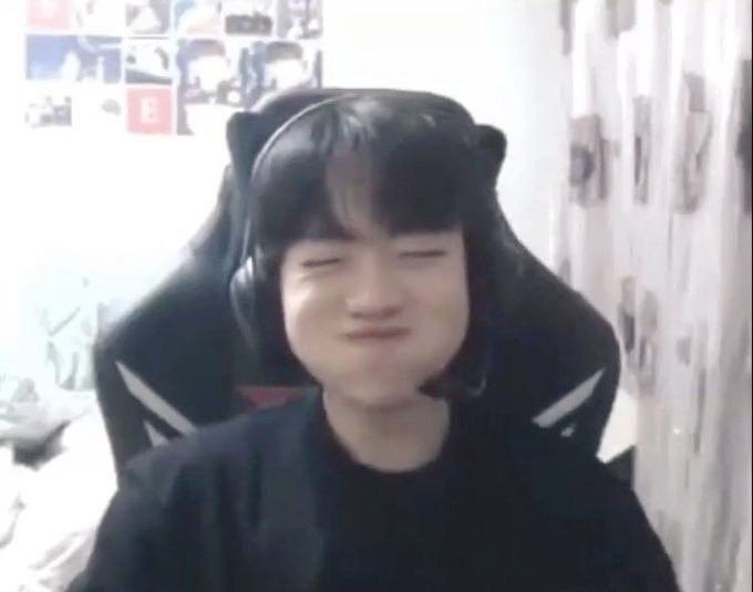 T1keriapics's tweet image. puppy coded 🐶                          cat coded 🐱