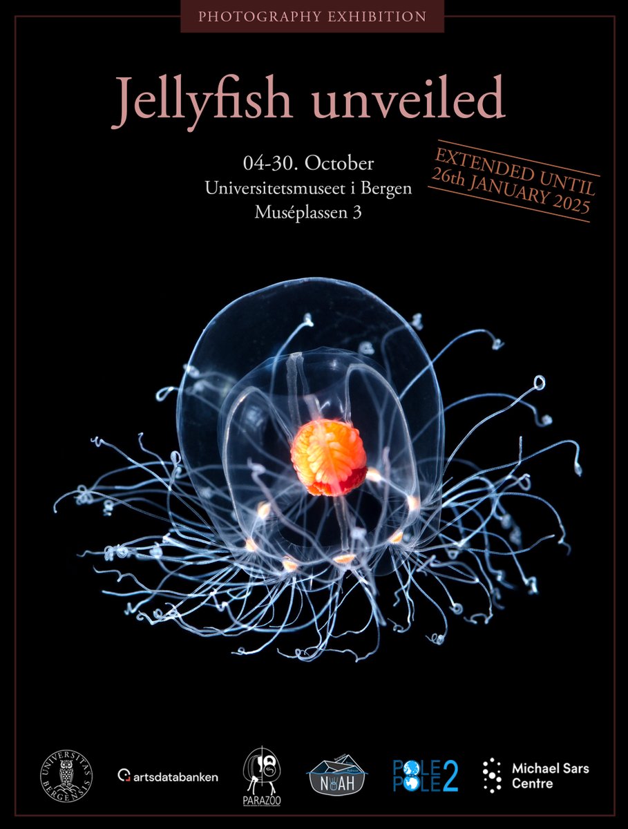 Michael Sars Centre (@msarscentre) on Twitter photo Amazing news - the exhibition 'Jellyfish unveiled' is extended until January 26 at <a href="/UiB_museet/">Universitetsmuseet</a> ! 🪼🤩 Discover the secrets of jellyfish and their kin through the eyes of <a href="/JoanJSoto/">Joan J. Soto-Angel</a>, <a href="/Alexandre4_Jan/">Alexandre Jan</a> & <a href="/aaasjord/">Anne aasjord</a> 📸
Find out more: tinyurl.com/3c2yjj2f Amazing news - the exhibition 'Jellyfish unveiled' is extended until January 26 at <a href="/UiB_museet/">Universitetsmuseet</a> ! 🪼🤩 Discover the secrets of jellyfish and their kin through the eyes of <a href="/JoanJSoto/">Joan J. Soto-Angel</a>, <a href="/Alexandre4_Jan/">Alexandre Jan</a> & <a href="/aaasjord/">Anne aasjord</a> 📸
Find out more: tinyurl.com/3c2yjj2f