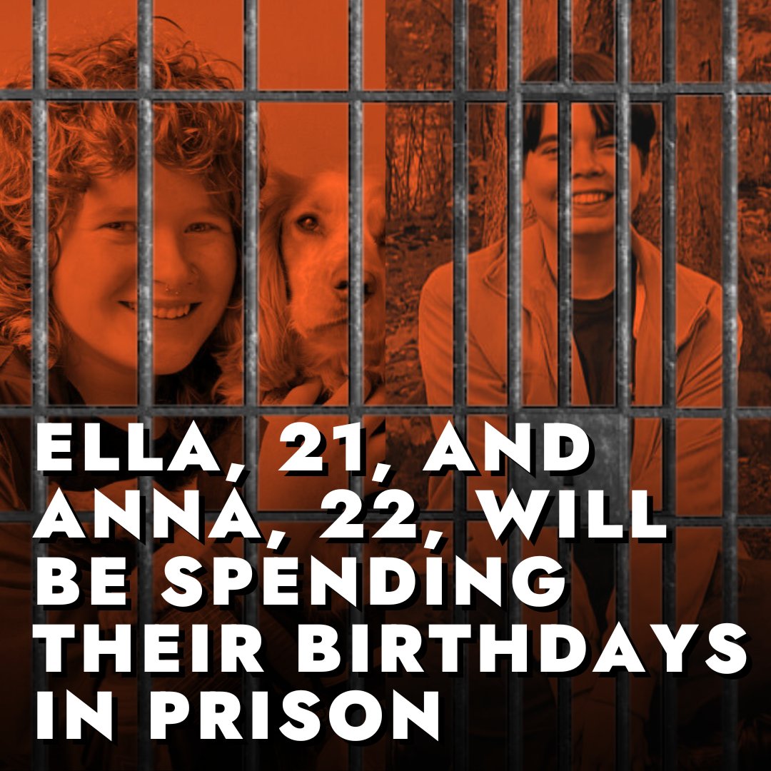 JustStop_Oil's tweet image. 🧡 Wish Ella and Anna Happy Birthdays!

⛓️ They'll be spending their birthdays in prison at the end of the month - Ella on remand, and Anna sentenced for throwing soup on Van Gogh's 'Sunflowers'.

⬇️ Comment Happy Birthday wishes below and we'll send your messages on.