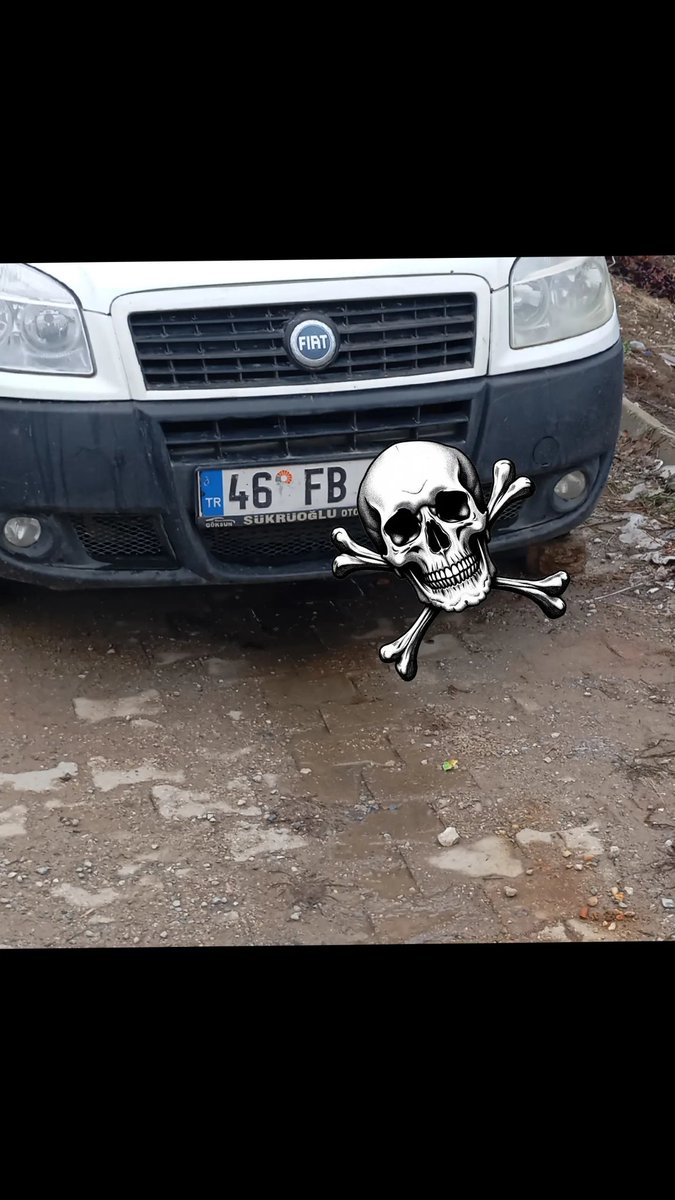 FENERBAHÇE TOPLULUĞU BEĞENDİ BİLE