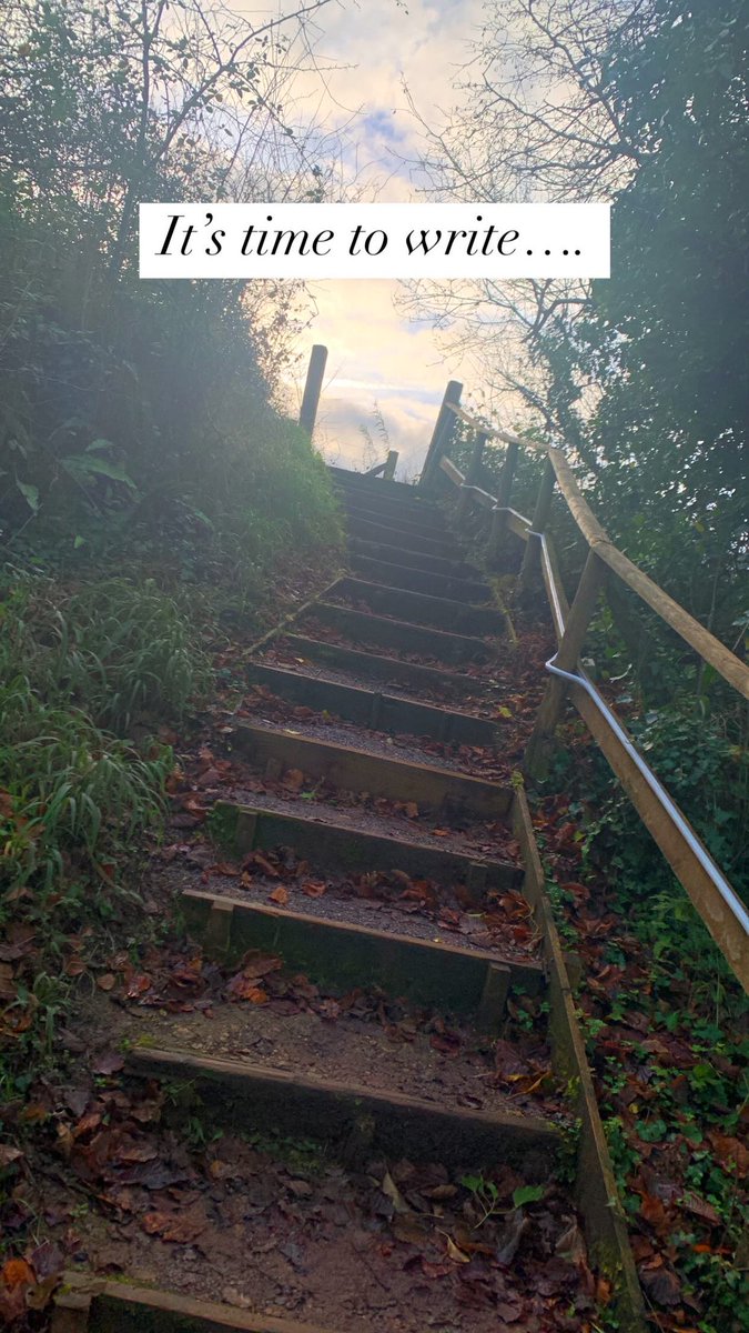 Dr Cody Porter tweet media