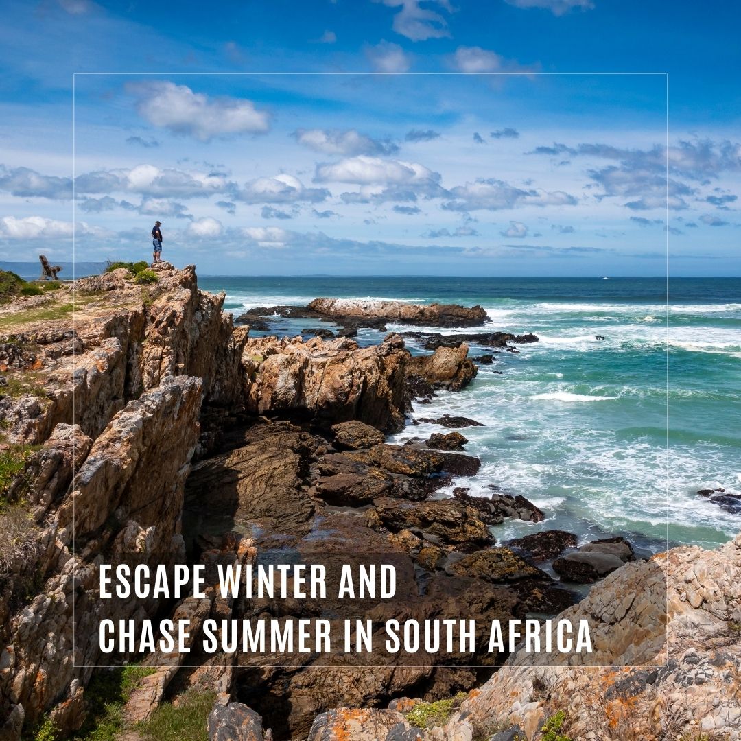 Escape winter and chase summer in South Africa! 🌞 A 4-day road trip from Cape Town to Cape Agulhas awaits, with stunning beaches, whale-watching, and rare wildlife. 🌊✨ Tap the link for more details! bit.ly/3OXKPq8

#GoRoadTravel #Travel