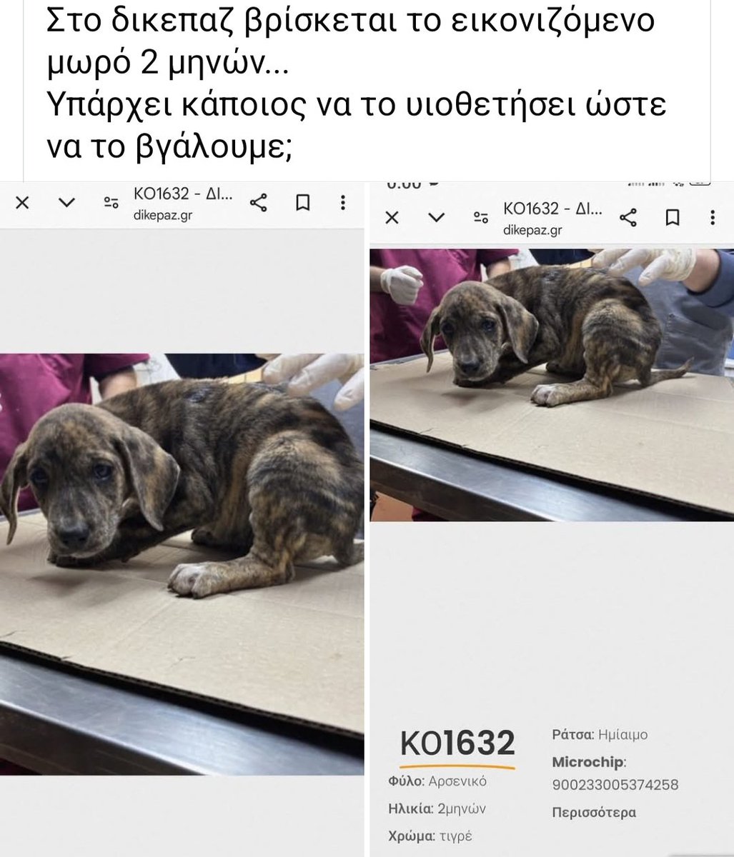 KatKatPt's tweet photo. 🆘️🆘️🆘️
2 μηνών αγοράκι βρίσκεται στο ΔΙΚΕΠΑΖ 
Δεν είναι μέρος να βρίσκεται ο μικρούλης 
Αναζητείται ένας άνθρωπος που θα το πάρει από εκεί μέσα κ θα του δώσει μόνο αγάπη 
Επικοινωνία με ΔΙΚΕΠΑΖ με τον κωδικό της φώτο
Rt 🙏 🙏 🙏 https://t.co/DCoE7nFpy2