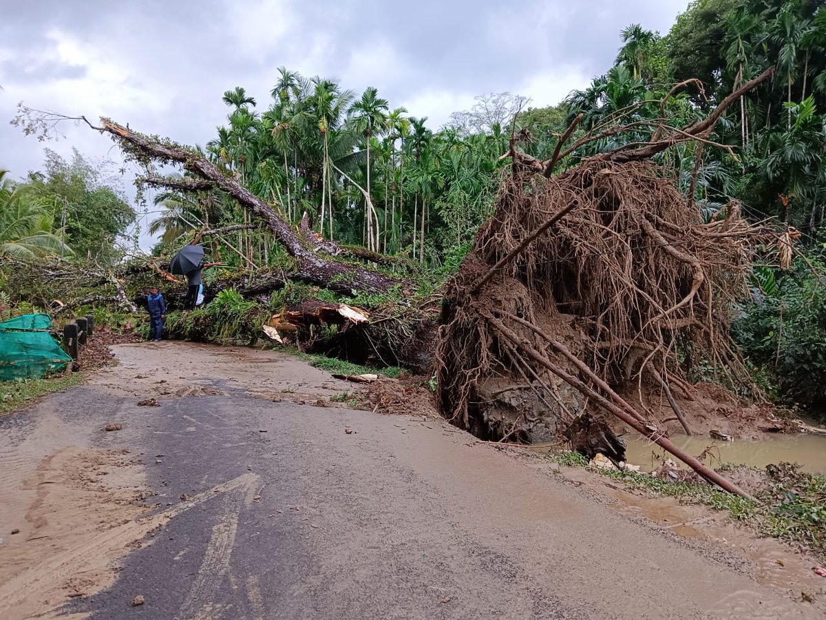 PSBambooflatANP's tweet photo. “Teamwork in action! 🌳 A big tree was uprooted this morning due to inclement weather in Kadakachang, but with swift efforts from Forest, Fire Services, Panchayat, APWD, @PSBambooflatANP, and dedicated volunteers, the road was cleared,and traffic resumed promptly. https://t.co/2mE0VNJYzD
