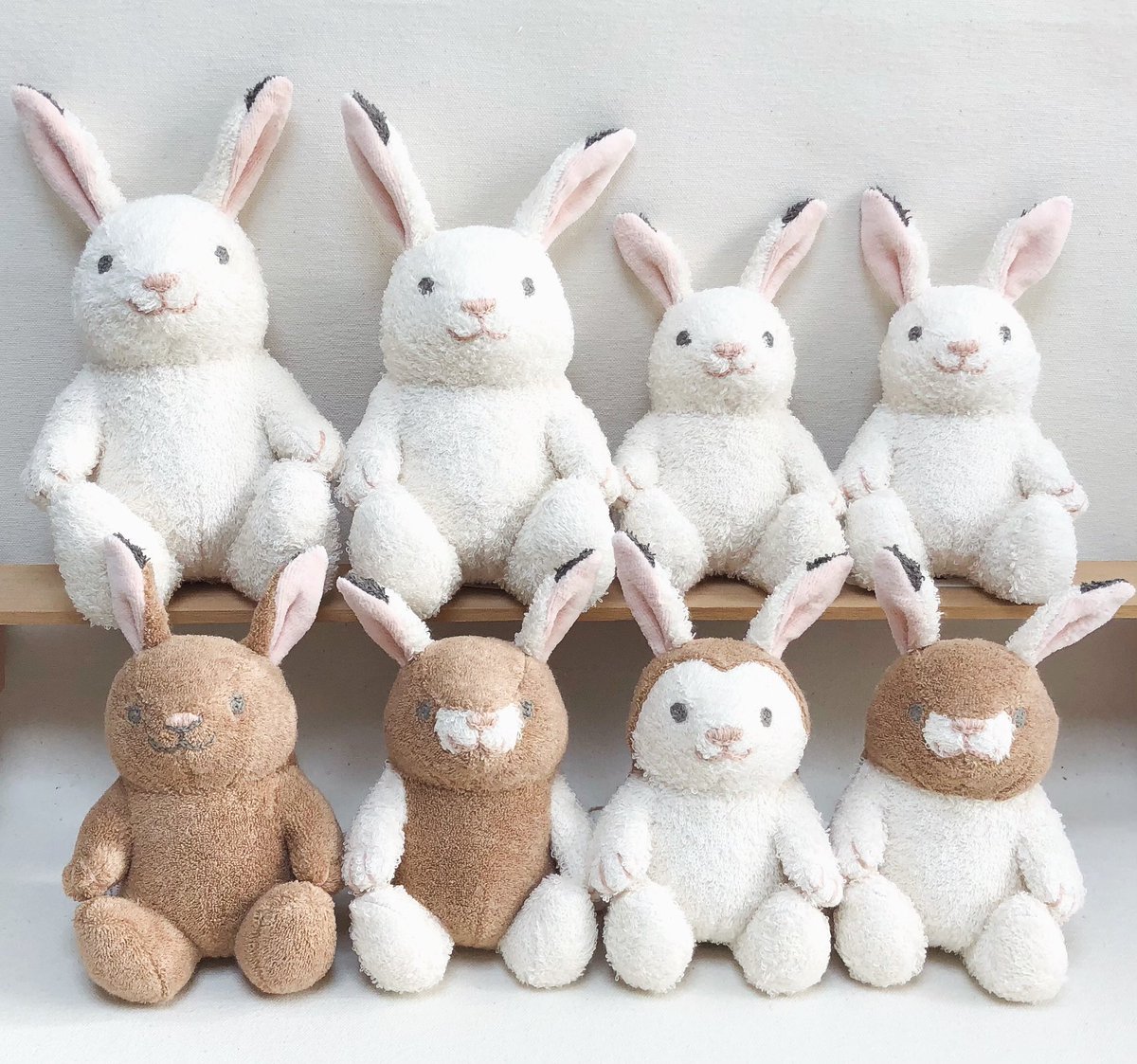 ぬくぐるみ工房くまごろう tweet media