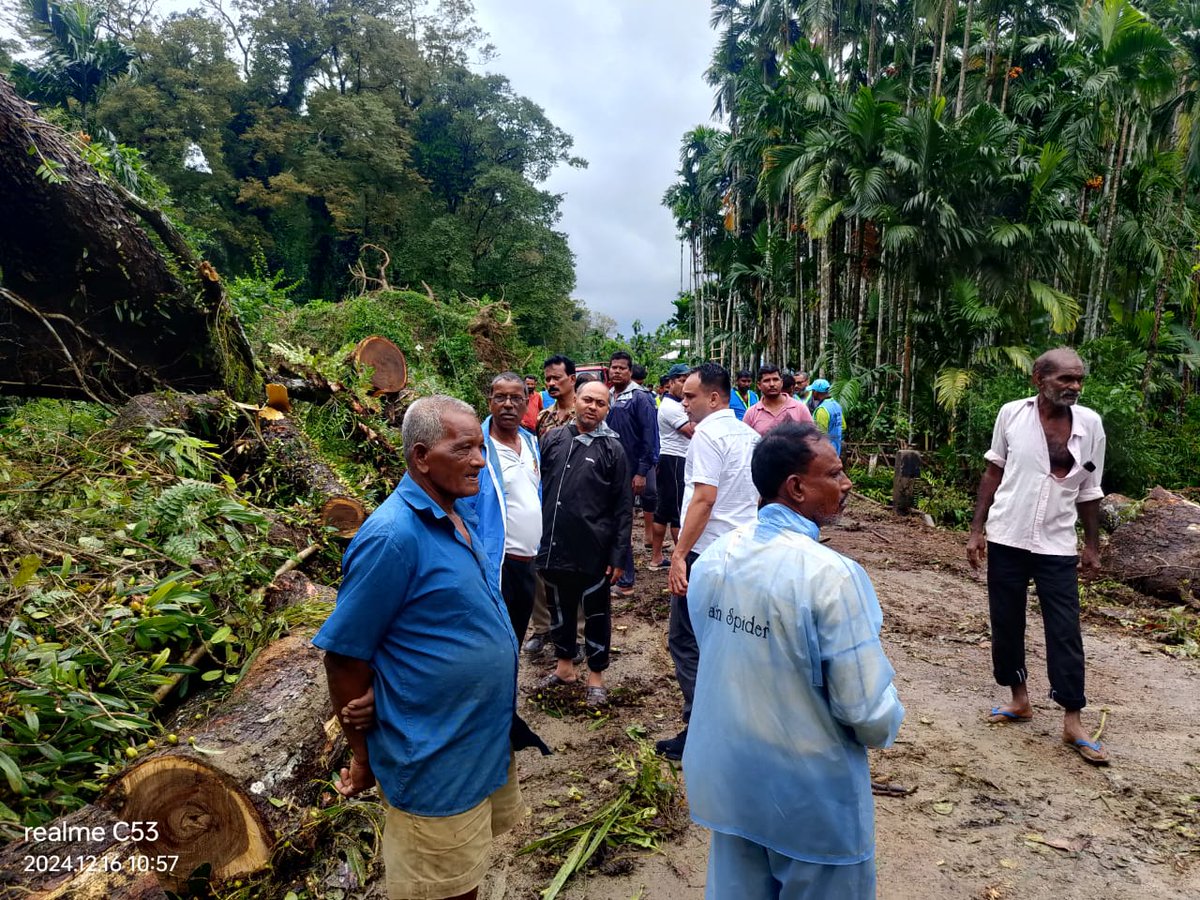 PSBambooflatANP's tweet photo. “Teamwork in action! 🌳 A big tree was uprooted this morning due to inclement weather in Kadakachang, but with swift efforts from Forest, Fire Services, Panchayat, APWD, @PSBambooflatANP, and dedicated volunteers, the road was cleared,and traffic resumed promptly. https://t.co/2mE0VNJYzD