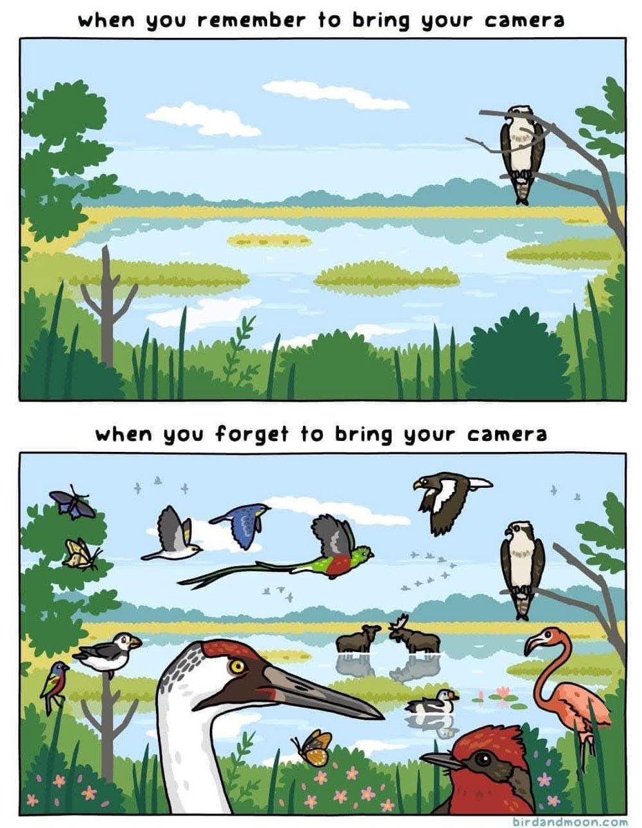 So true 😂😂😂