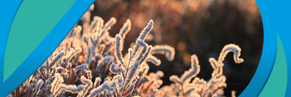 Pôle-relais lagunes méditerranéennes tweet media