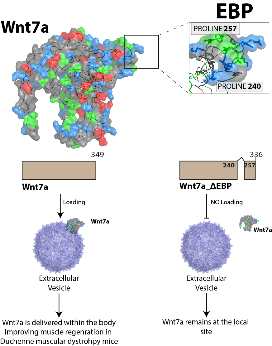 CIC bioGUNE tweet media