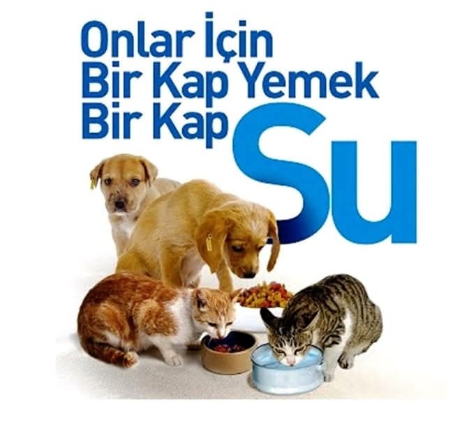 FarukAl50786969's tweet photo. Bu soğuk kış gününde kendiniz üşüdüğünüz gibi onlarda üşüyor bina altlarına sığınıyor lütfen onları kovmayın varsa yemek artığı mama veya bir karton içine eski giysi koyup yuva yapın bu kışı atlatsın yazın zaten dışarda yatıp kalkıyorlar 
MERHAMETİNİZ YÜCE OLSUN 🐕🐈‍⬛🐈🐦🐦🤲🤲🤲 https://t.co/tGZCoev8fS